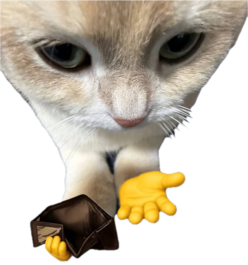 A cat holding an empty wallet, demanding money
